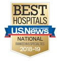 US World & News Report 6 specialty badge