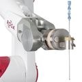 Rosa Brain robot