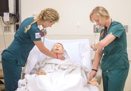 Monmouth students discover unexpected opportunities at 10-year-old nursing program