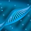 DNA