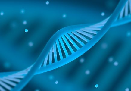 DNA