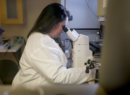 Genome editing