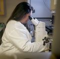 Genome editing