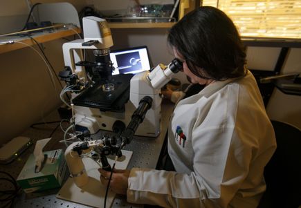 Genome editing