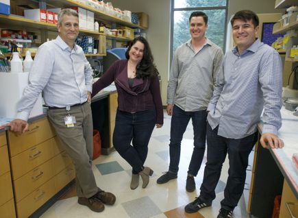 Genome editing