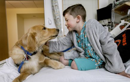 OHSU Doernbecher Children's Hospital therapy dogs 