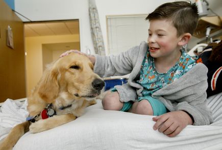 OHSU Doernbecher Children's Hospital therapy dogs 