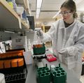 Malaria vaccine research