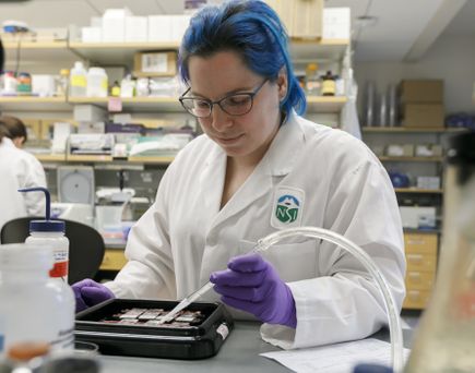 Frueh Research Lab