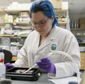 Frueh Research Lab