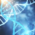 DNA gene