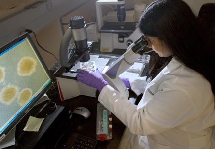 AML Research