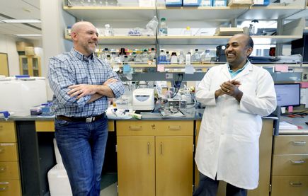 Adjuvant research