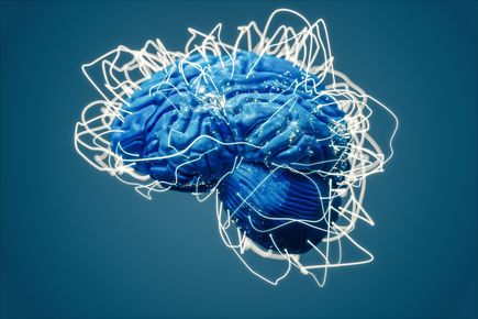 Brain mapping