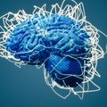 Brain mapping