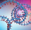 3d illustration of a  part of RNA chain from which the deoxyribonucleic acid or DNA is composed