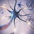 Microscopic of neural network brain cells