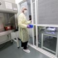 OHSU Insectary