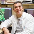 Steven Mansoor, M.D., Ph.D.