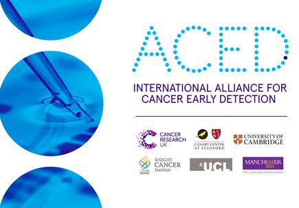 ACED illustration