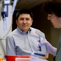 Long-term study of mitochondrial replacement therapy in monkeys finds no adverse health effects