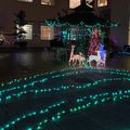 Peacock Lane