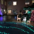 Peacock Lane