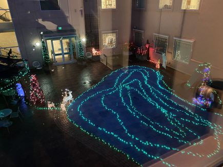 Peacock Lane