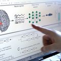 How the brain hears