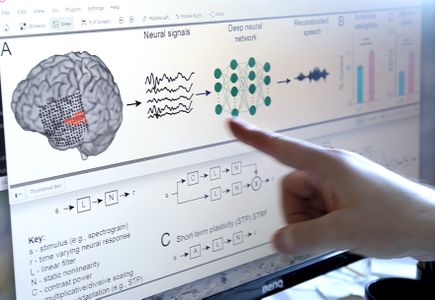 How the brain hears