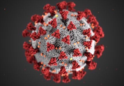 Pediatric resident fears for at-risk, providers who care for them during outbreak