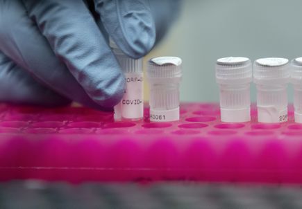 OHSU expedites promising new technologies to tackle COVID-19