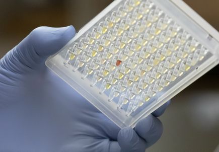 New study suggests two paths toward ‘super immunity’ to COVID-19
