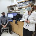 COVID-19 antibody testing