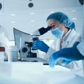 COVID-19 vaccine study shows severe disease preventable in hamsters