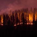 wildfire