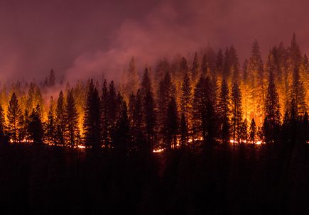 wildfire