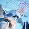 Shaping the future of women’s health care through philanthropy