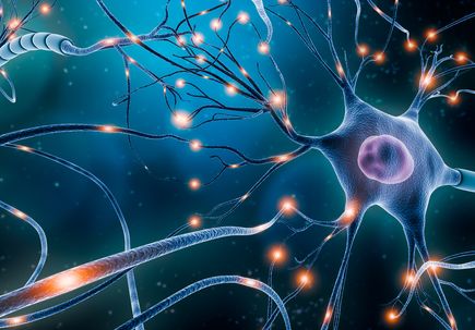 Myelin protection