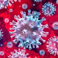 Coronavirus Outbreak