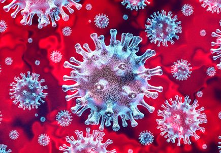 SARS-CoV-2 reacts to antibodies of virus from 2003 SARS outbreak, new study reveals