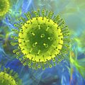 Virus