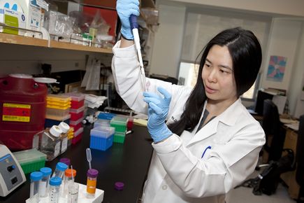 Phoebe Lin, M.D.,  Ph.D.