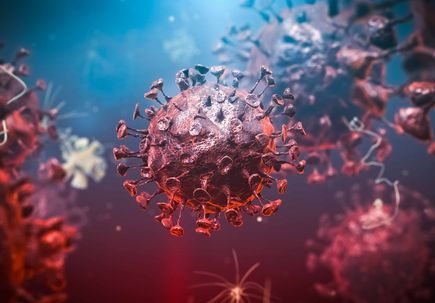 Vaccination protects previously infected people from coronavirus variants
