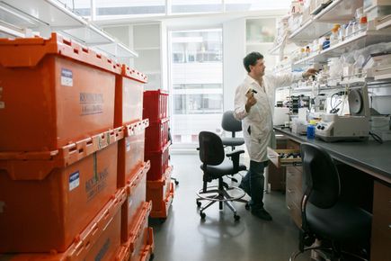 Cancer research