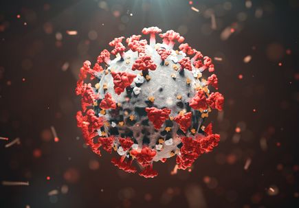 Study confirms virus variants reduce protection against COVID-19