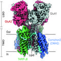 Receptor revealed