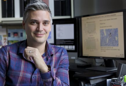 Jonah Sacha, Ph.D.