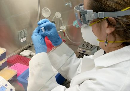 Genome sequencing