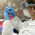 Genome sequencing